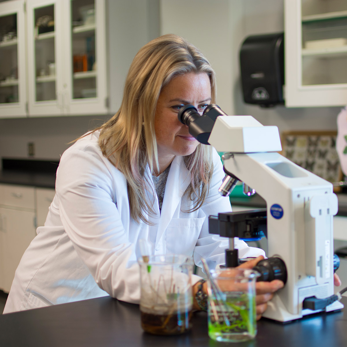 CCD Biology student looking in a microscope