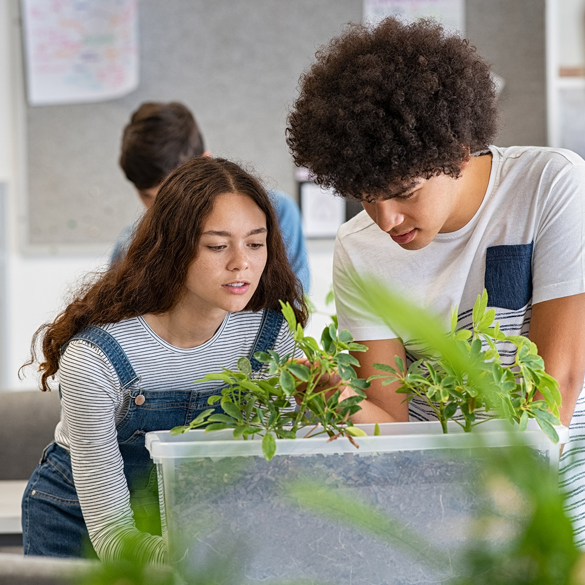CCD Environmental Science students in a lab