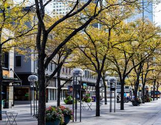 16th Street Mall near CCD campus